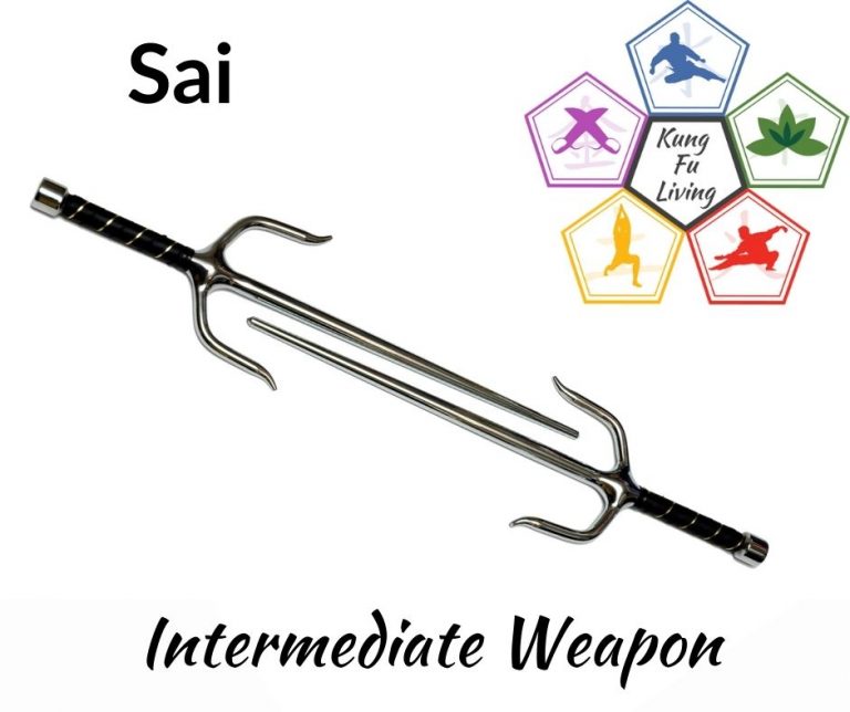 Sai Weapon Training Kung Fu Living Tao Te Kung Fu